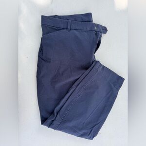Gap Navy Blue Trousers